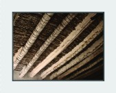 foto27a.jpg