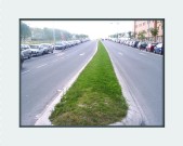 foto30a.jpg