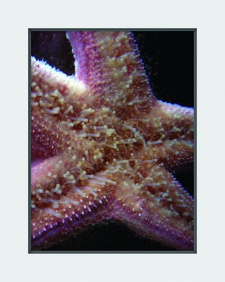 foto42a.jpg