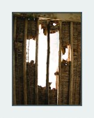 foto13a.jpg