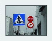 foto17a.jpg