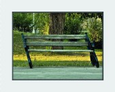 foto34a.jpg
