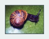 foto45a.jpg